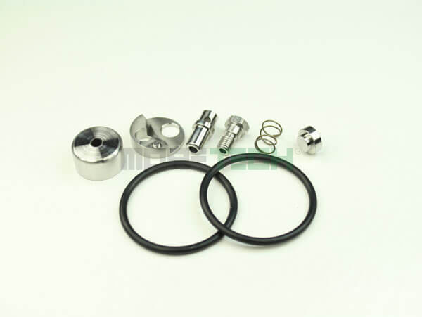  Check Valve Repair Kit