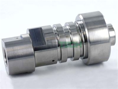 Check Valve Assembly