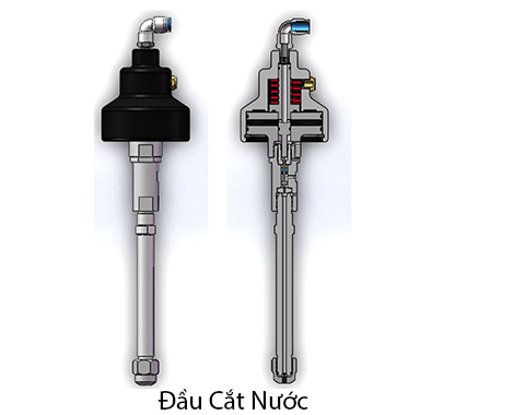 Chỉ cắt nước
